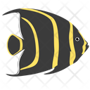 پیش‌نمایش فایل french-angelfish-1962813 از پک ماهی