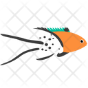 پیش‌نمایش فایل lyretail-hogfish-1962777 از پک ماهی