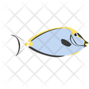 پیش‌نمایش فایل orange-spine-unicornfish-1962778 از پک ماهی