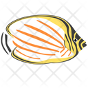 پیش‌نمایش فایل ornate-butterfly-fish-1962771 از پک ماهی