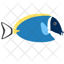 پیش‌نمایش فایل powder-blue-tang-fish-1962781 از پک ماهی