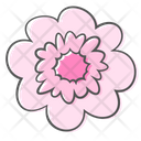 پیش‌نمایش فایل blossom-2936769 از پک گل‌های بهاری