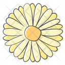 پیش‌نمایش فایل daisy-2936757 از پک گل‌های بهاری