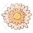 پیش‌نمایش فایل daisy-2936759 از پک گل‌های بهاری