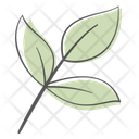 پیش‌نمایش فایل leaf-2936790 از پک گل‌های بهاری