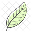 پیش‌نمایش فایل leaf-2936791 از پک گل‌های بهاری