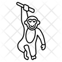 پیش‌نمایش فایل monkey-199 از پک آیکون حیوان