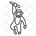 پیش‌نمایش فایل monkey-3132241 از پک حیوان