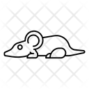 پیش‌نمایش فایل rat-3132219 از پک حیوان