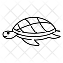 پیش‌نمایش فایل turtle-3132247 از پک حیوان