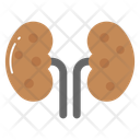 پیش‌نمایش فایل kidneys-8120301 از پک مراقبت بهداشتی و پزشکی