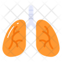 پیش‌نمایش فایل lungs-8120317 از پک مراقبت بهداشتی و پزشکی