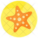 پیش‌نمایش فایل starfish-8936011 از پک تعطیلات تابستان