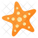 پیش‌نمایش فایل starfish-8935926 از پک تعطیلات تابستان