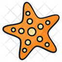 پیش‌نمایش فایل starfish-8935749 از پک تعطیلات تابستان