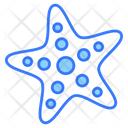 پیش‌نمایش فایل starfish-8935649 از پک تعطیلات تابستان