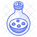 پیش‌نمایش فایل flask-11175304 از پک پزشکی