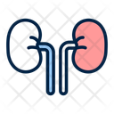 پیش‌نمایش فایل kidneys-12461784 از پک پزشکی و سلامت