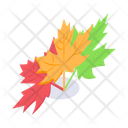 پیش‌نمایش فایل autumn-leaves-12922161 از پک روز شکرگزاری