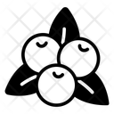پیش‌نمایش فایل blueberry-12683938 از پک غذا و نوشیدنی