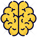 پیش‌نمایش فایل brain-2862395 از پک مدرسه و آموزش