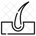 پیش‌نمایش فایل trichology-6151216 از پک شوره سر و رشد مو