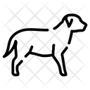 پیش‌نمایش فایل dog-7867796 از پک دامپزشکی حیوانات خانگی