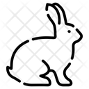 پیش‌نمایش فایل rabbit-7867783 از پک دامپزشکی حیوانات خانگی
