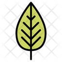 پیش‌نمایش فایل leaf-660 از پک پاییز