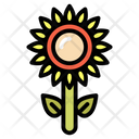 پیش‌نمایش فایل sunflower-155 از پک پاییز