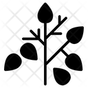 پیش‌نمایش فایل leaves-179 از پک پاییز