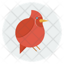 پیش‌نمایش فایل bird-293 از پک متفرقه