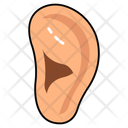پیش‌نمایش فایل auditory-organ-10642671 از پک کالبدشناسی انسان