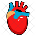 پیش‌نمایش فایل cardiac-organ-10642673 از پک کالبدشناسی انسان