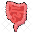 پیش‌نمایش فایل digestive-organ-10642676 از پک کالبدشناسی انسان