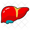 پیش‌نمایش فایل hepatic-organ-10642677 از پک کالبدشناسی انسان