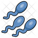 پیش‌نمایش فایل male-gamete-10642681 از پک کالبدشناسی انسان