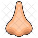 پیش‌نمایش فایل olfactory-organ-10642684 از پک کالبدشناسی انسان