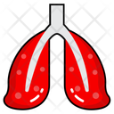 پیش‌نمایش فایل pulmonary-organs-10642688 از پک کالبدشناسی انسان