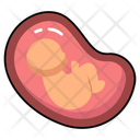پیش‌نمایش فایل uterus-10642691 از پک کالبدشناسی انسان