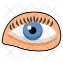 پیش‌نمایش فایل visual-organ-10642692 از پک کالبدشناسی انسان