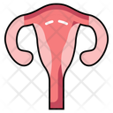 پیش‌نمایش فایل womb-10642693 از پک کالبدشناسی انسان