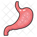 پیش‌نمایش فایل abdominal-organ-10642551 از پک کالبدشناسی انسان
