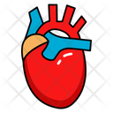 پیش‌نمایش فایل cardiac-organ-10642555 از پک کالبدشناسی انسان