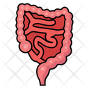 پیش‌نمایش فایل digestive-organ-10642558 از پک کالبدشناسی انسان