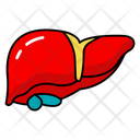 پیش‌نمایش فایل hepatic-organ-10642559 از پک کالبدشناسی انسان