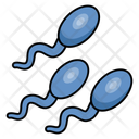 پیش‌نمایش فایل male-gamete-10642538 از پک کالبدشناسی انسان