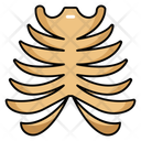 پیش‌نمایش فایل rib-cage-10642547 از پک کالبدشناسی انسان