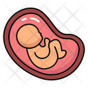 پیش‌نمایش فایل uterus-10642548 از پک کالبدشناسی انسان