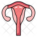 پیش‌نمایش فایل womb-10642550 از پک کالبدشناسی انسان